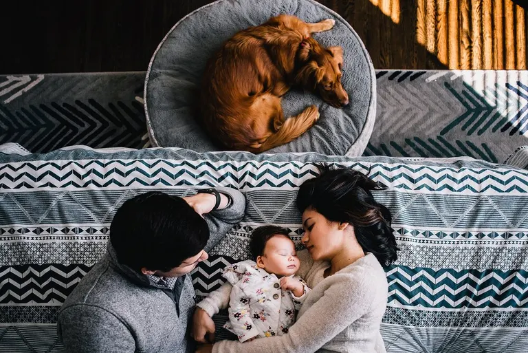 4 Tips for family photos with your dog