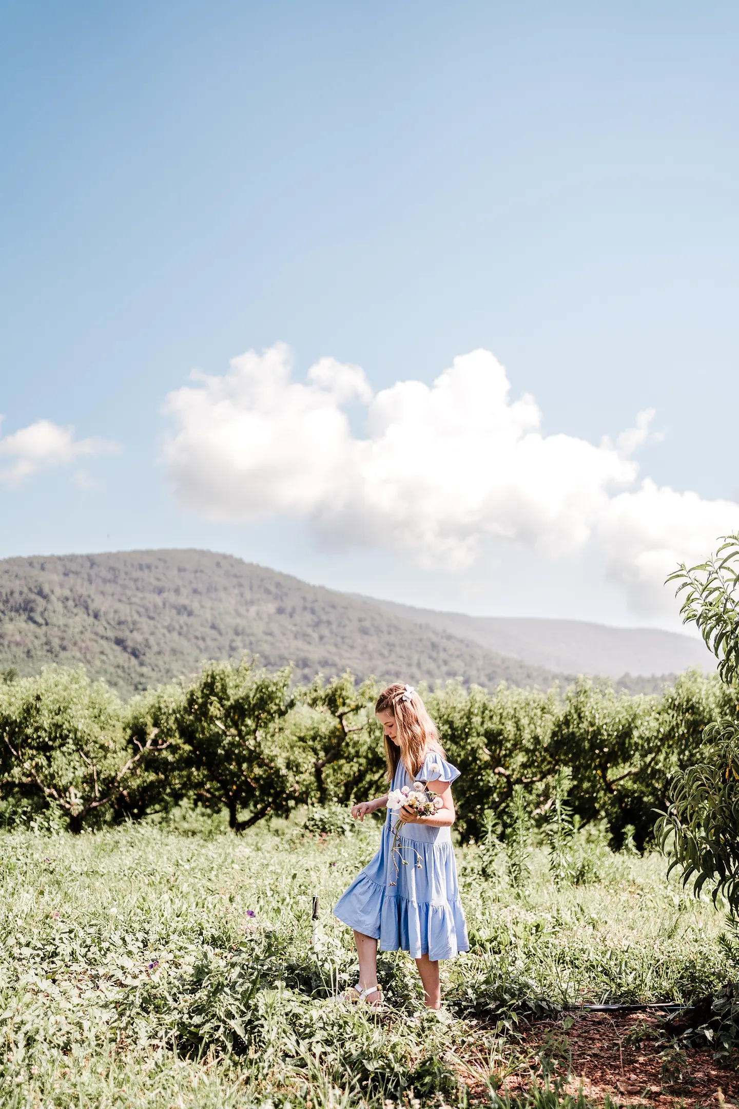 Playful family photos at Chiles Peach Orchard