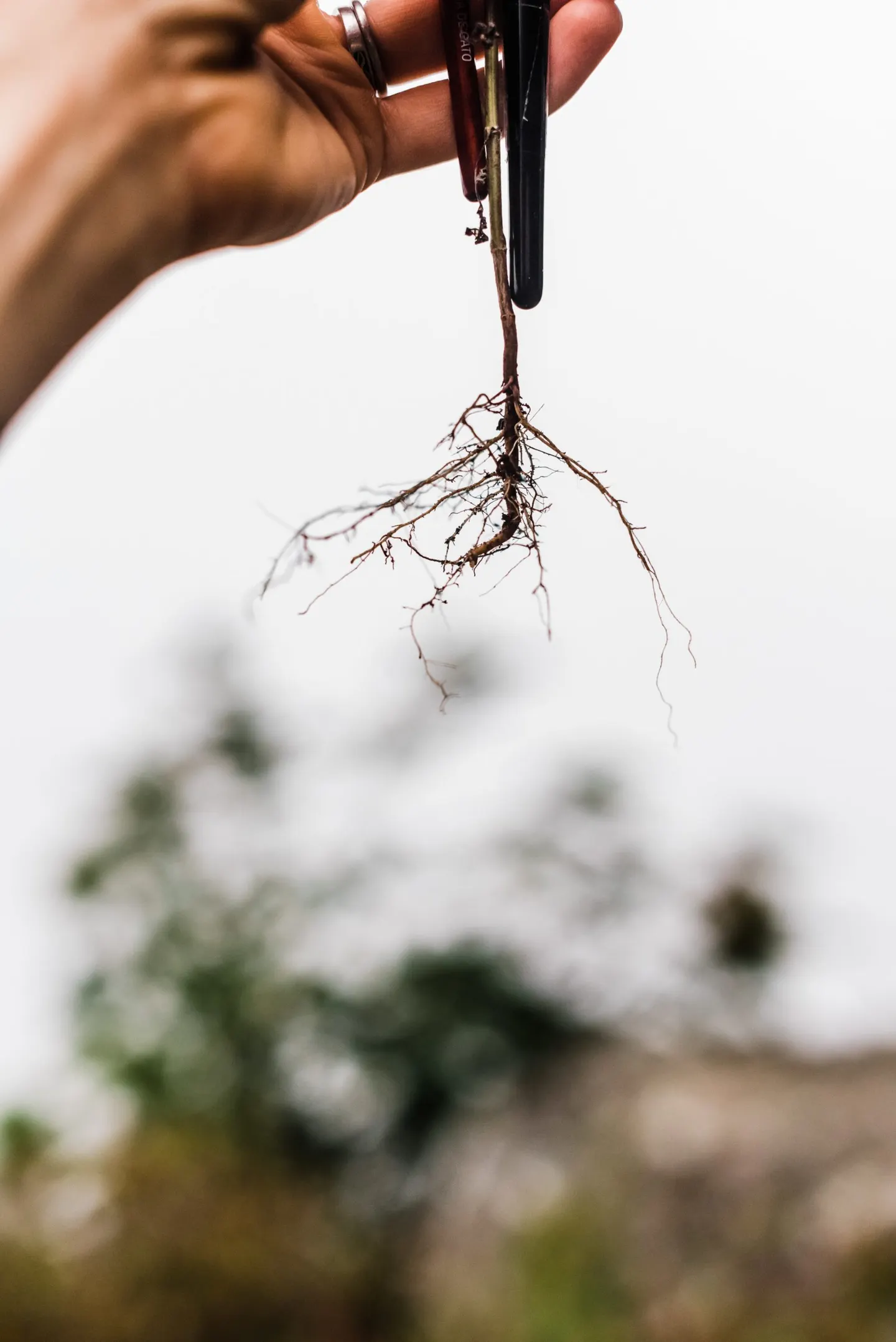 Questions to ask yourself when you feel stuck in your photography business