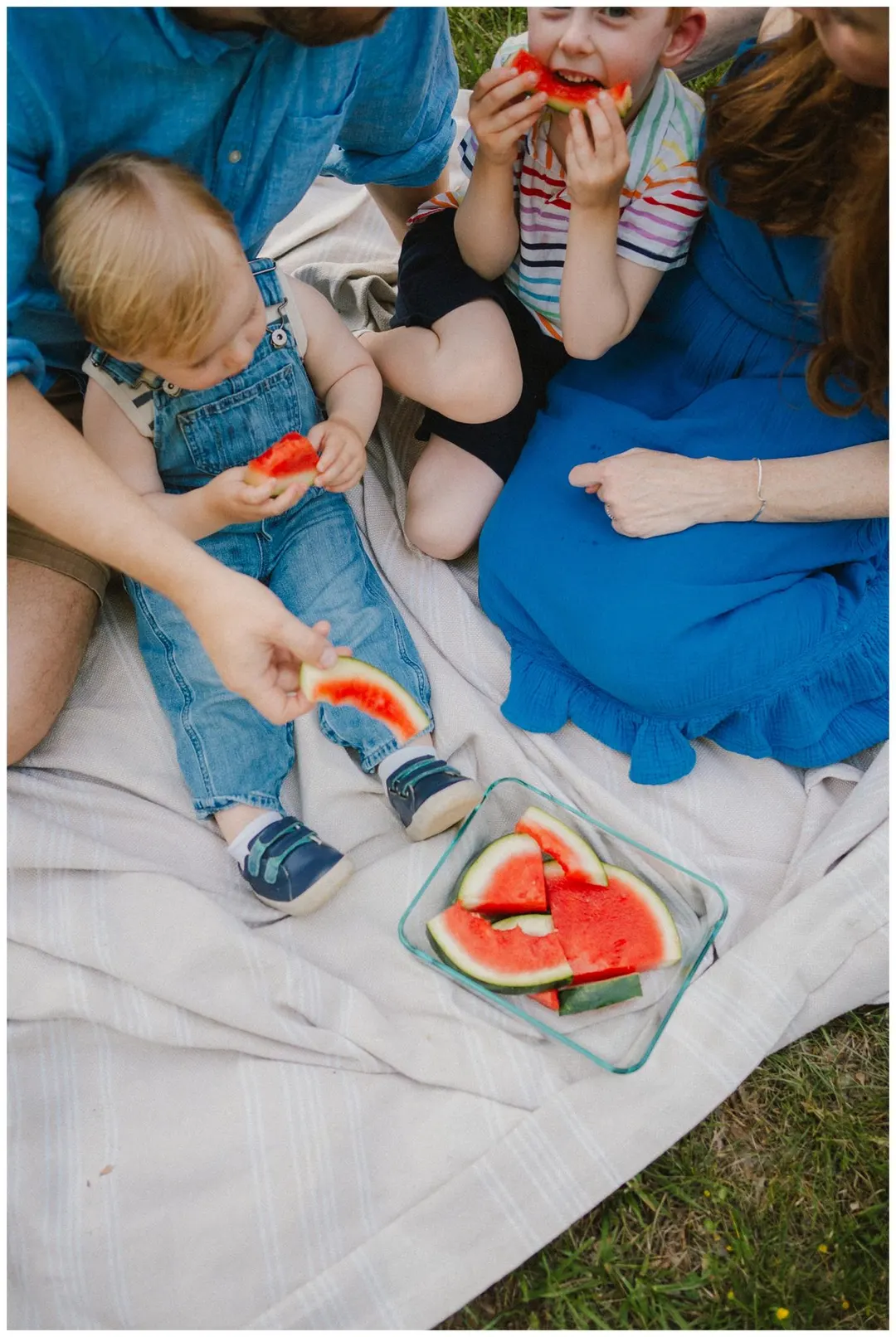 watermelon 1
