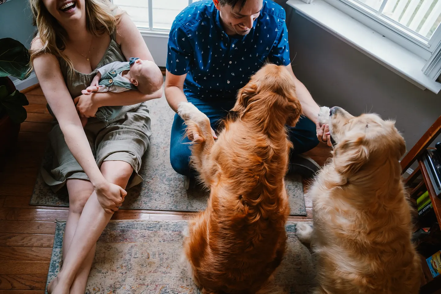 home newborn photos in charlottesville with pets