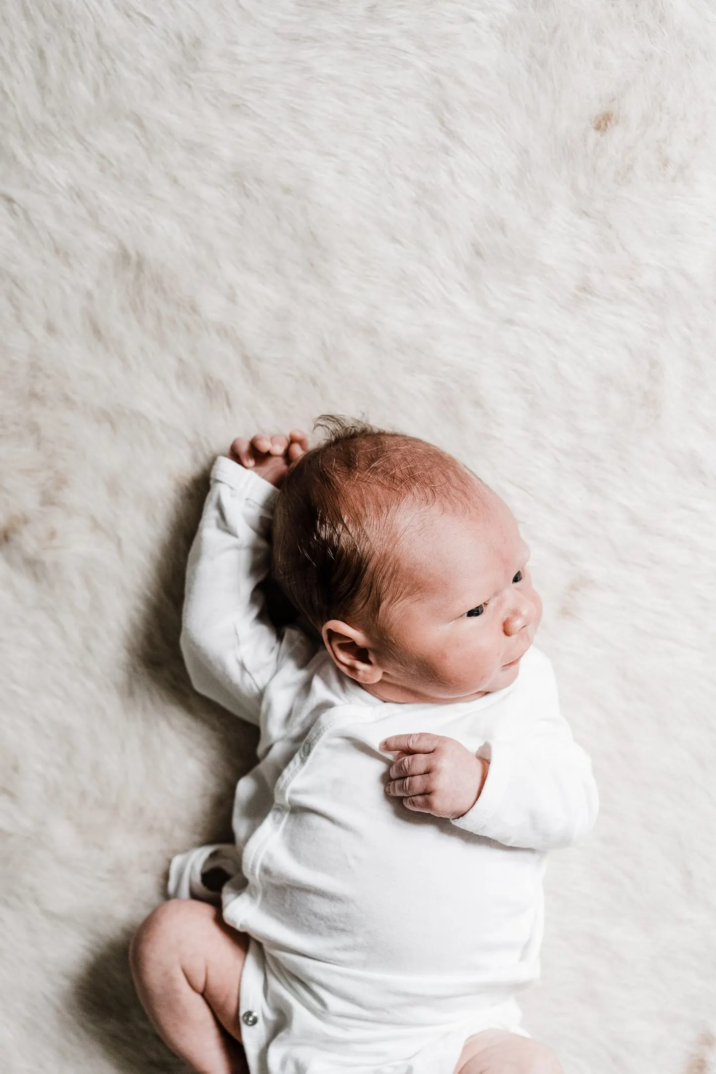 Summer lifestyle newborn photos at home | Charlottesville, VA
