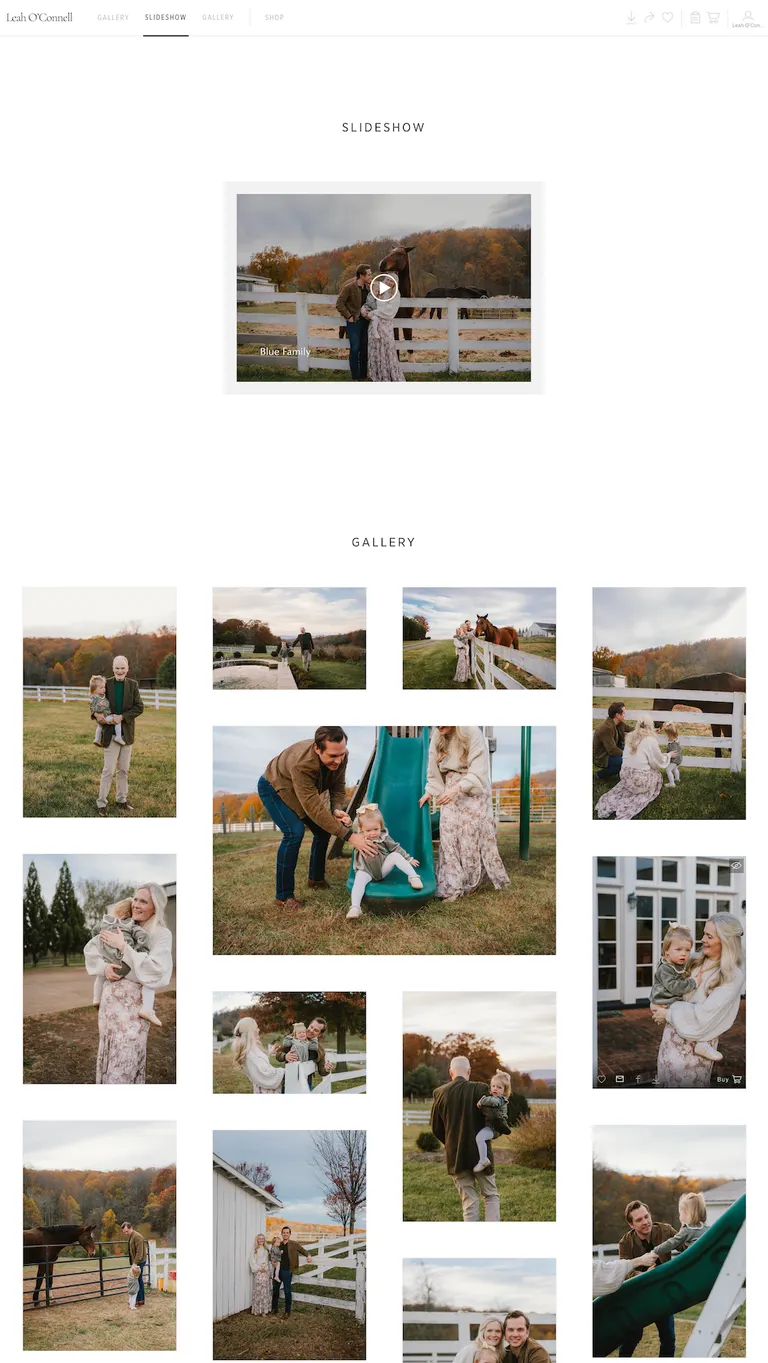 sample of a pictime gallery view for family photographers
