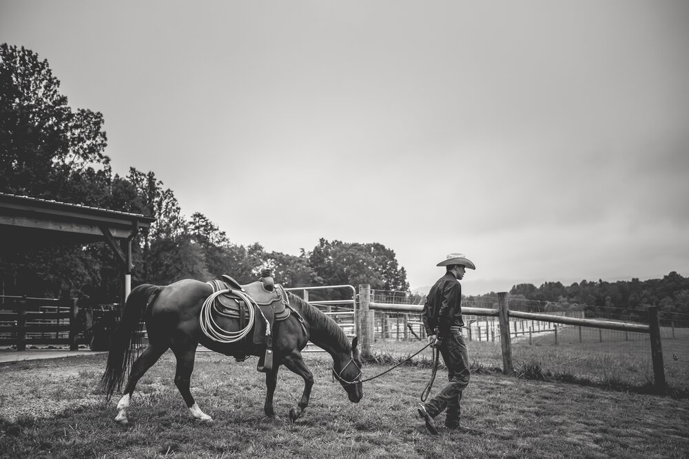 senior photos of boy with horse