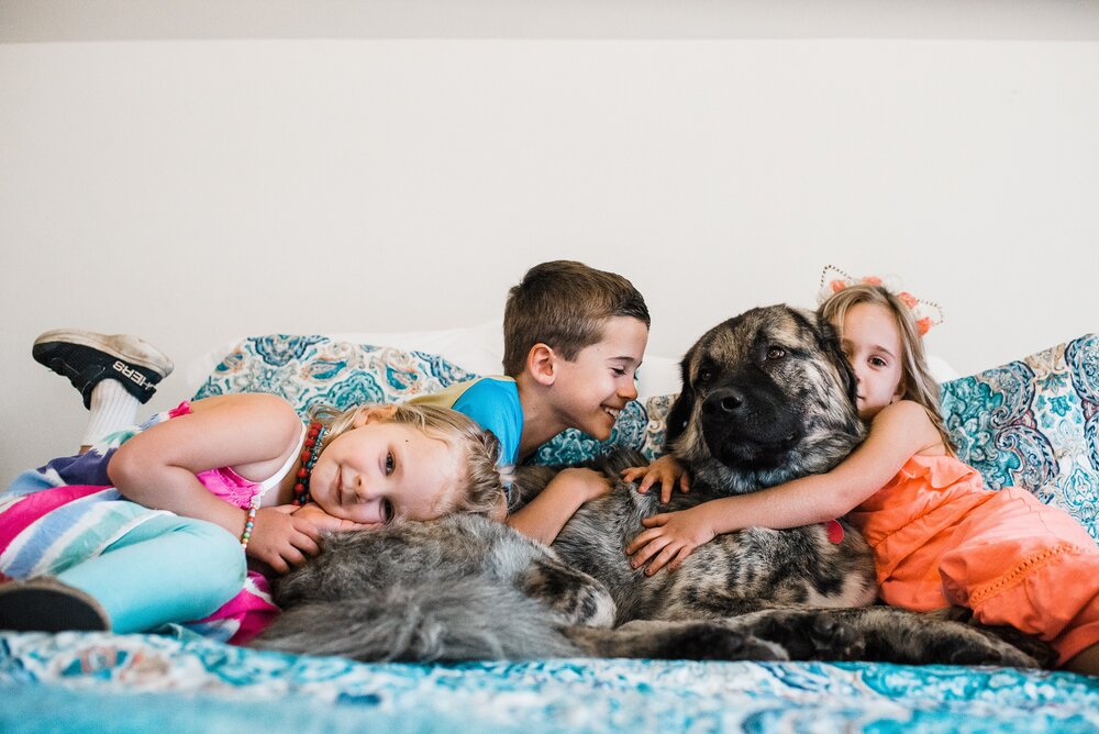 family-photographer-charlottesville-kids-dogs