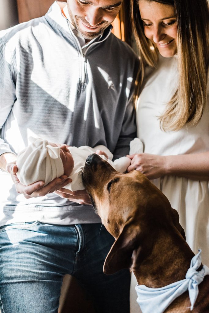 newborn photos in charlottesville with dog