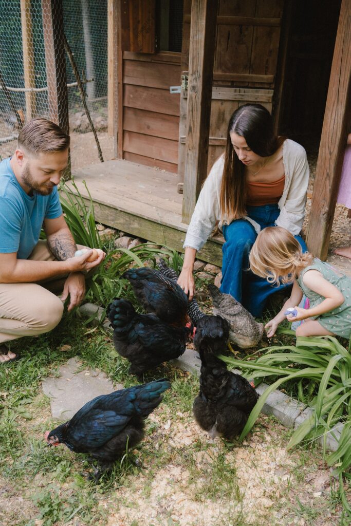 family with chickens, backyard photos