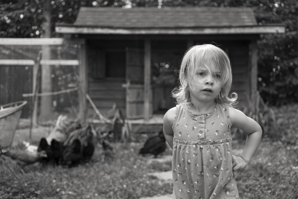 family photo ideas with chickens