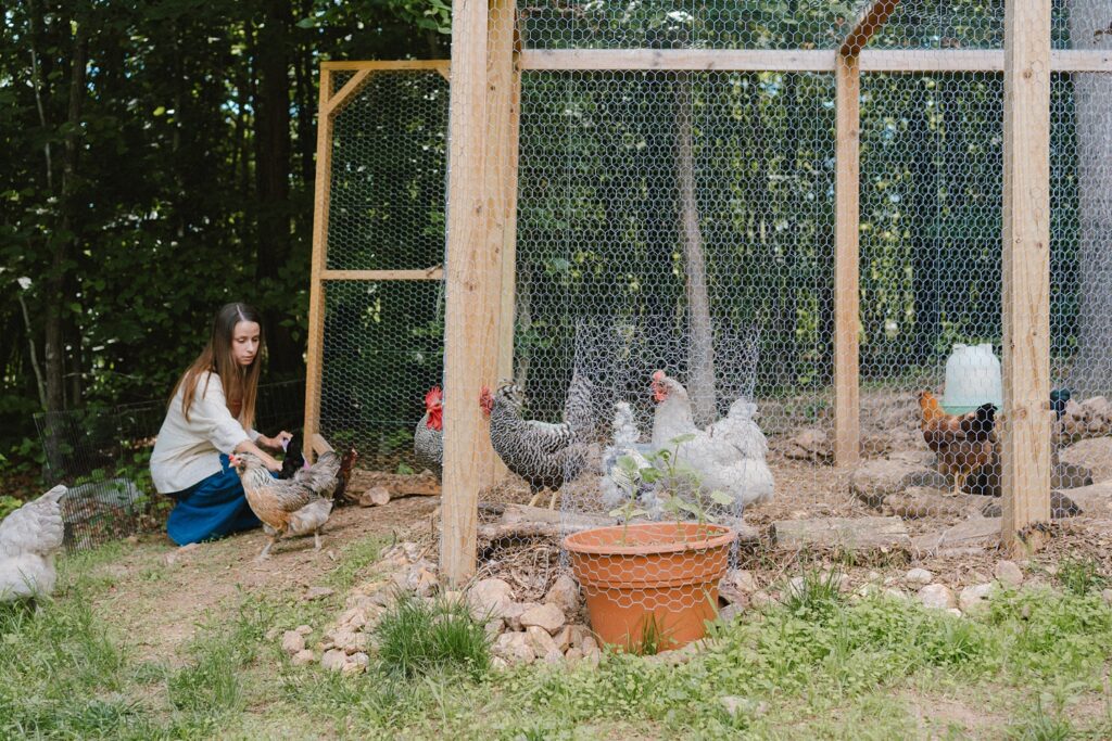 lifestyle family photos with a chicken coop