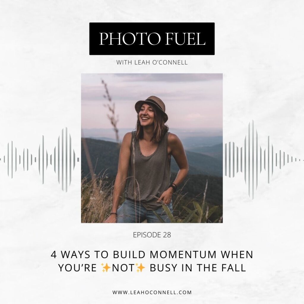 ways to build your photography business when you're not busy in the fall