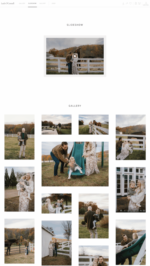 sample of a pictime gallery view for family photographers
