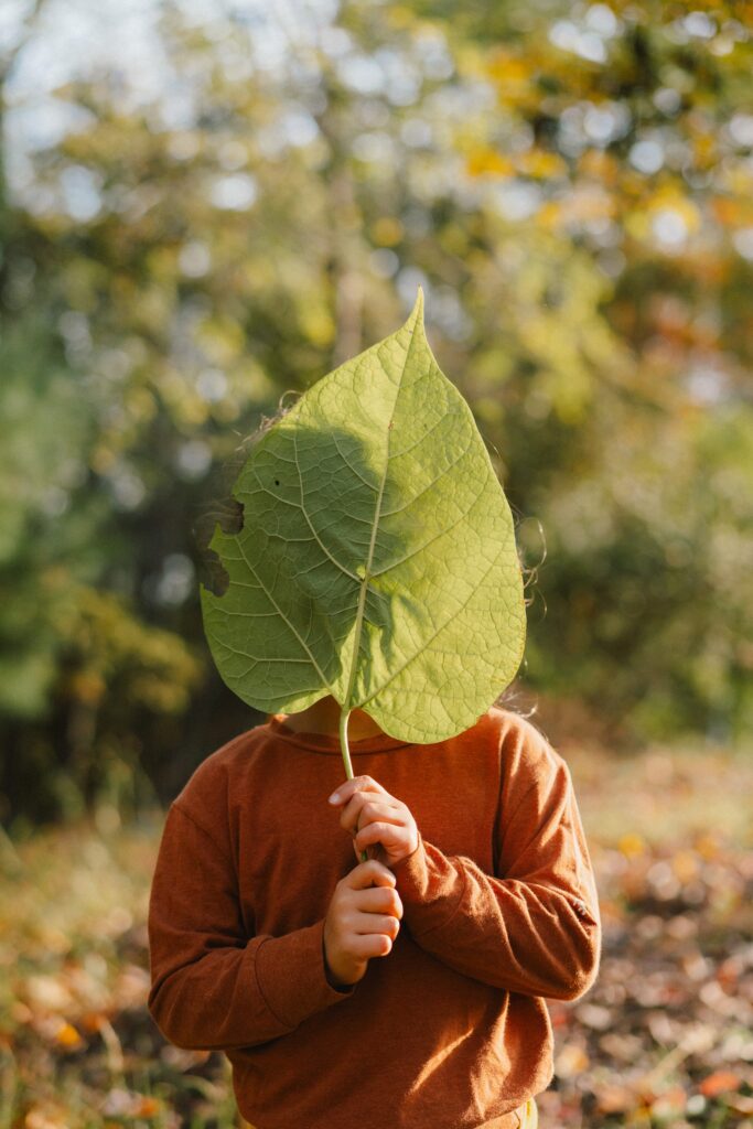 photography podcast episode from family photographer leah oconnell about small pivots for your business